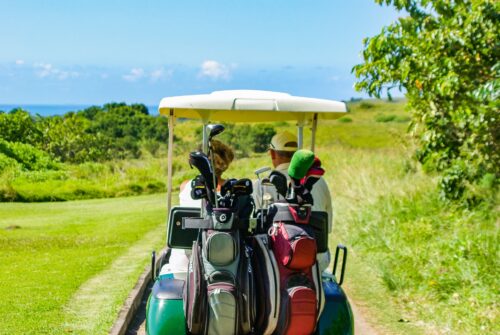 La sténose spinale lombaire, causée par une arthrose dégénérative de la colonne lombaire, nuit au golf et est traitée efficacement en chiropratique.